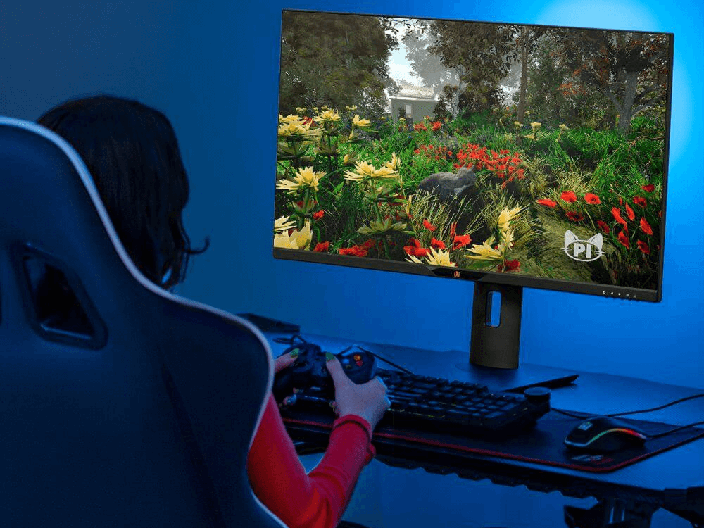 IPS Monitor Definition