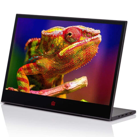 Deco Gear 15.6" Portable Monitor 1920x1080 IPS HD Panel, Rich Display with 16.7 Million Colors, 60Hz