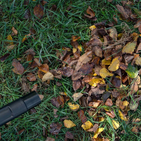 Blowing leaves